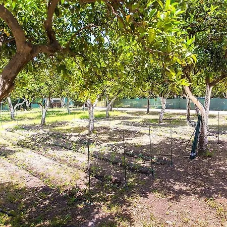 Willa Orange Near Platanias *