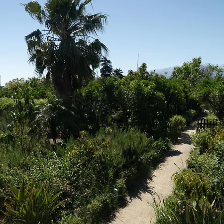 Orange Near Platanias