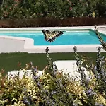 Orange Near Platanias * חאניה