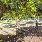 וילה Orange Near Platanias *