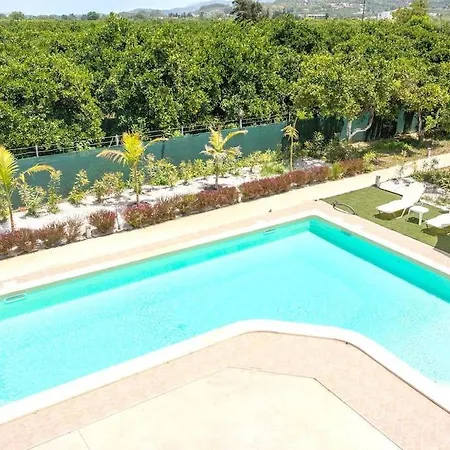 Orange Near Platanias Chania (Crete)