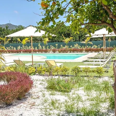 Orange Near Platanias