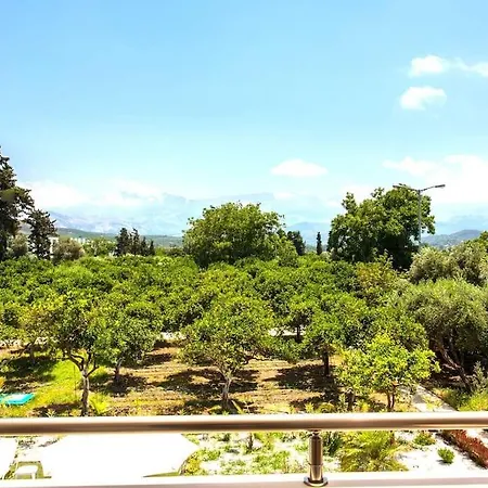 Orange Near Platanias Chania (Crete)