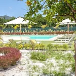 Orange Near Platanias