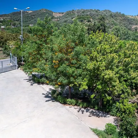 Orange Near Platanias